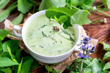 Grüne Kräutersuppe in weißer Tasse, umgeben von frischen Blättern und Blumen.
