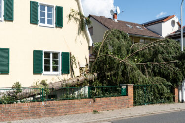 Ein umgestürzter Baum liegt auf einem gelben Haus mit grünen Fensterläden.