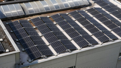 Solarmodule auf einem Flachdach in Reihen angeordnet.