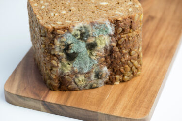 Brotlaib mit Schimmel auf der Oberfläche auf einem Holzbrett.